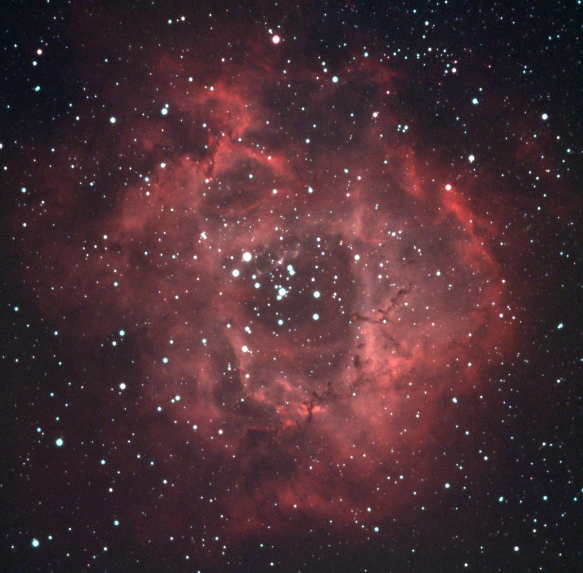 NGC_2238_Group_1218~224_432_avg_rg_cb.jpg